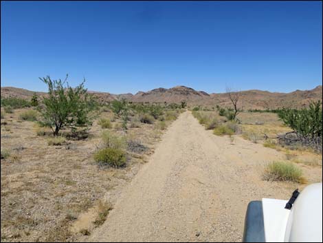 Red Bluff Spring Road