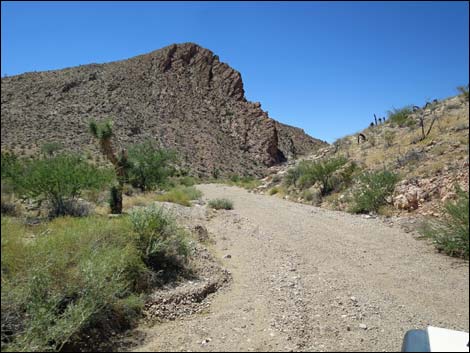 Red Bluff Spring Road