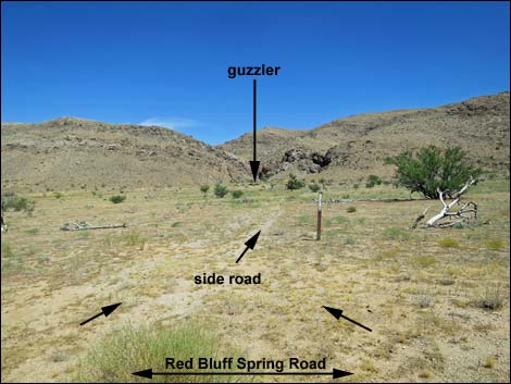 Red Bluff Spring Road