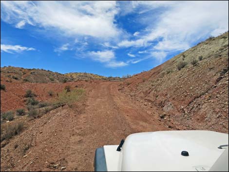 Red Bluff Spring Road