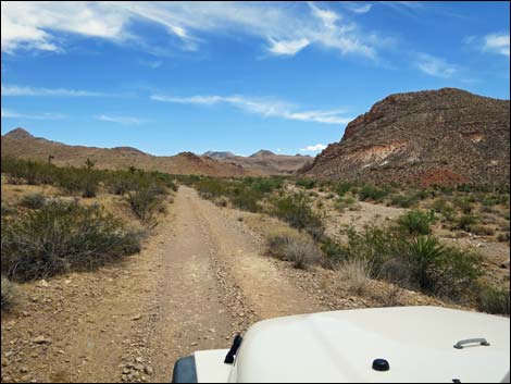 Red Bluff Spring Road