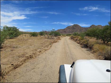 Red Bluff Spring Road