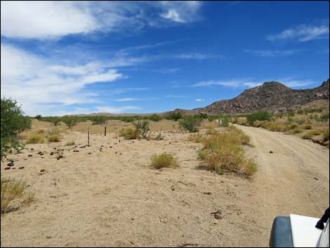 Red Bluff Spring Road