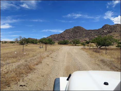 Red Bluff Spring Road