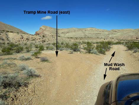 Tramp Mine Road