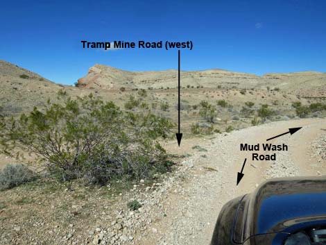 Tramp Mine Road