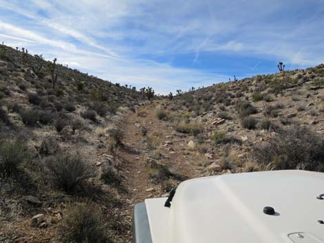 Uranium Ridge Road