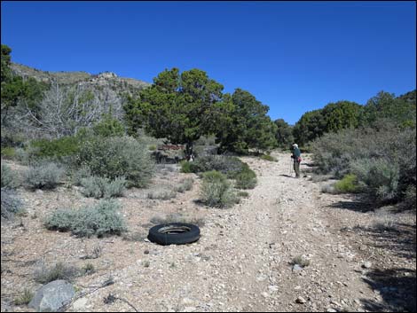 Virgin Peak Road