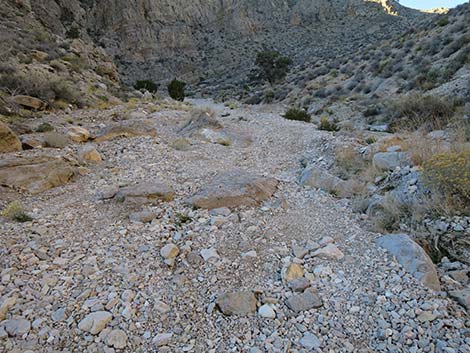 Virgin Peak Road