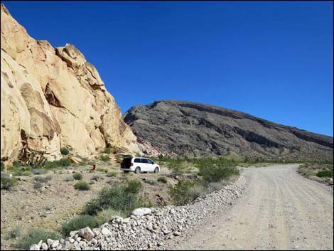 Whitney Pass Road