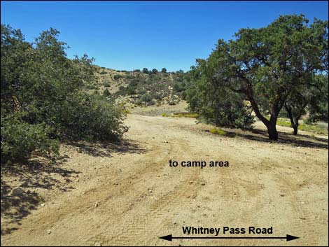 Whitney Pass Road