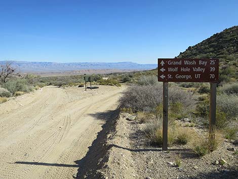 Whitney Pass Road