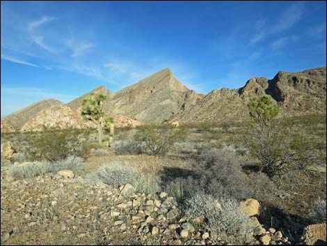 Whitney Pass Road