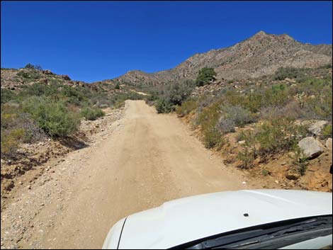 Whitney Pass Road