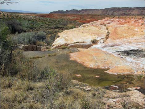 Red Rock Springs