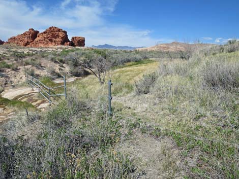 Red Rock Springs