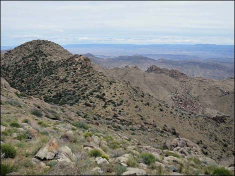 Shark Tooth Peak