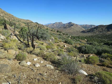 Shark Tooth Peak