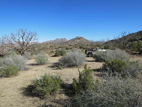 Shark Tooth Peak