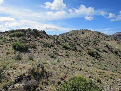 Summit Peak