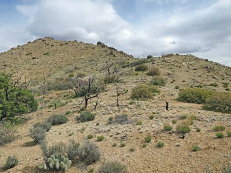 Summit Peak