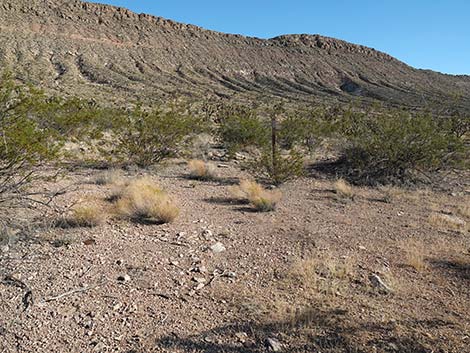 Uranium Mine