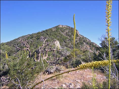 Virgin Peak