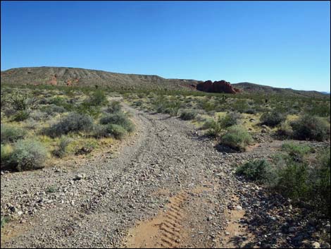 Whitney Pocket Overlook Trail