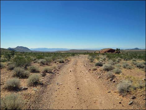 Whitney Pocket Overlook Trail