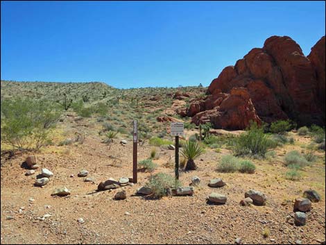 Whitney Pocket Overlook Trail