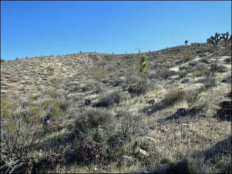 Wechech Basin Loop