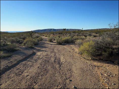 Wechech Basin Loop