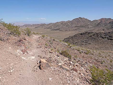 Black Mountain Overlook Trail