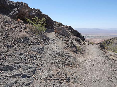 Black Mountain Overlook Trail