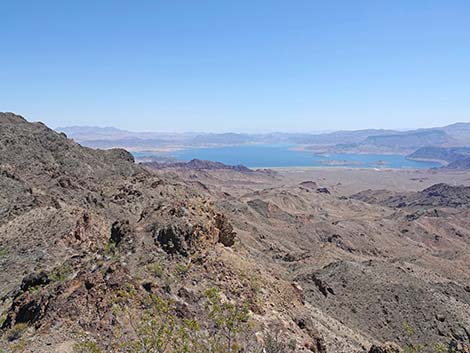 Black Mountain Overlook Trail