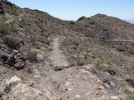 Black Mountain Overlook Trail