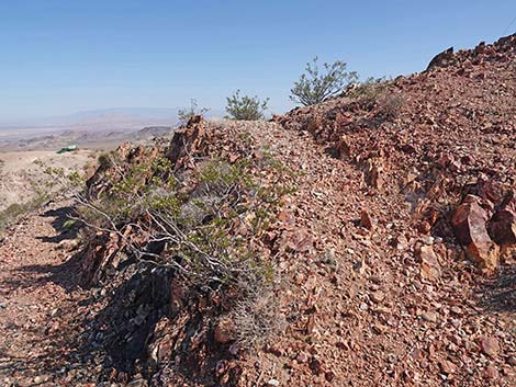 Red Mountain Overlook Trail