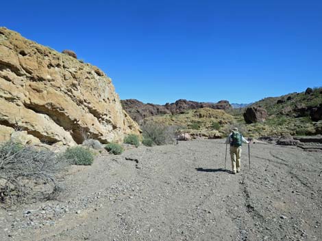 Boy Scout Canyon