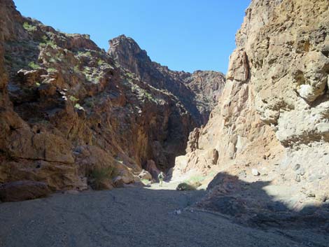 Boy Scout Canyon