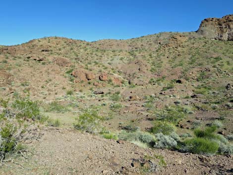 Colorado River Overlook