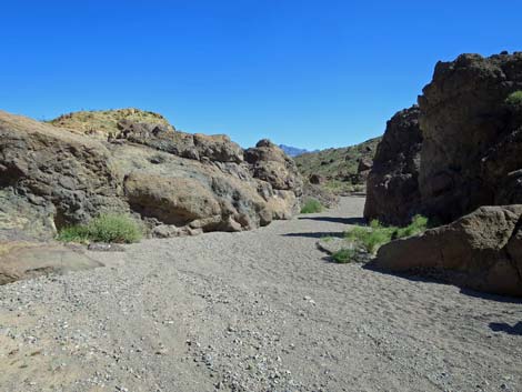 Boy Scout Canyon