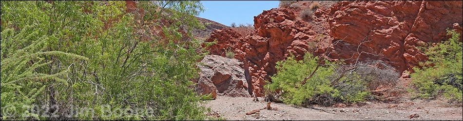 Cottonwood Spring