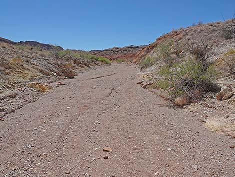 Cottonwood Spring