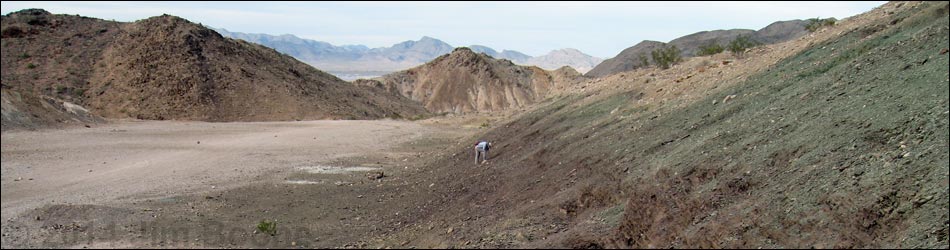 Frenchman Mountain Trilobite Quarry