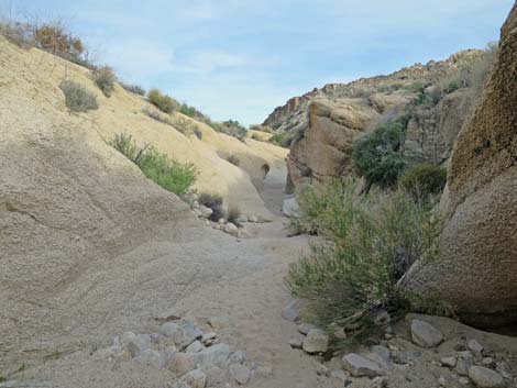 Grapevine Canyon