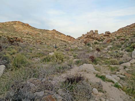 Grapevine Canyon