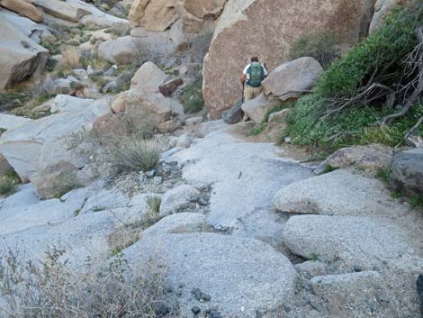 Grapevine Canyon