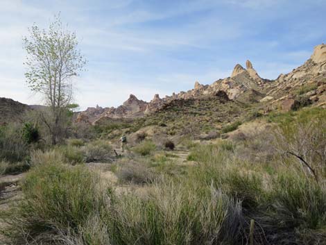 Grapevine Canyon