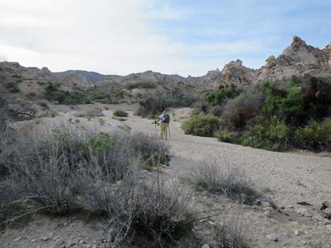 Grapevine Canyon