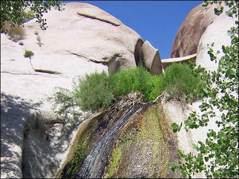 Grapevine Canyon